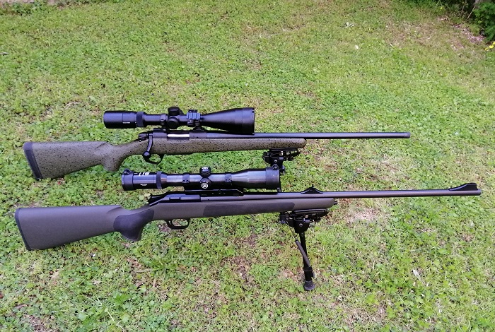 Bergara 2
