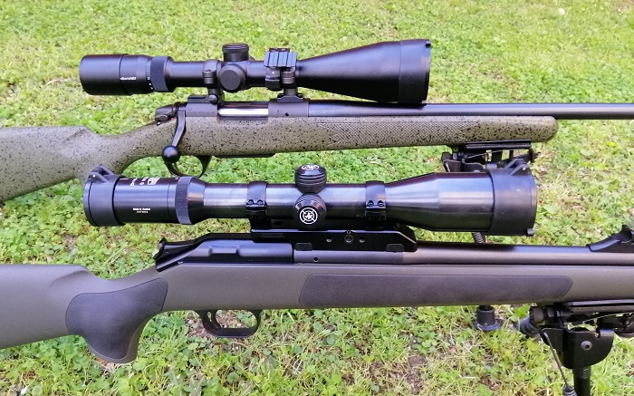 Bergara 3