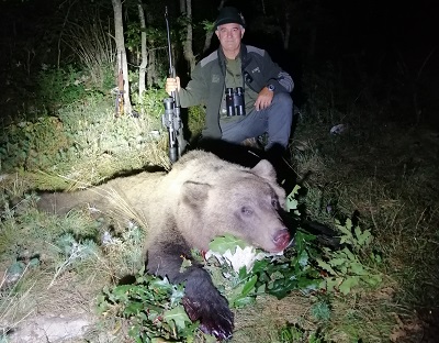 Bergara 4