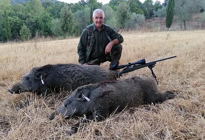 Bergara 5