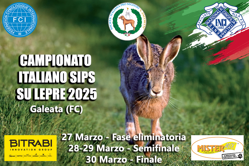 20250327 30 locandina forli