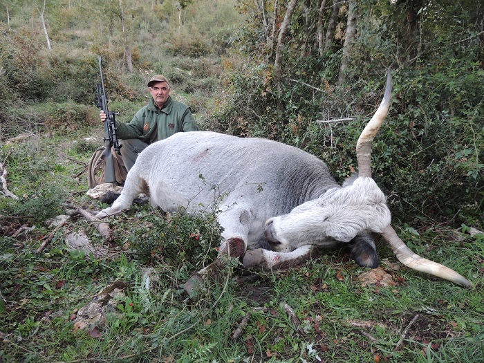 Toro 3 2