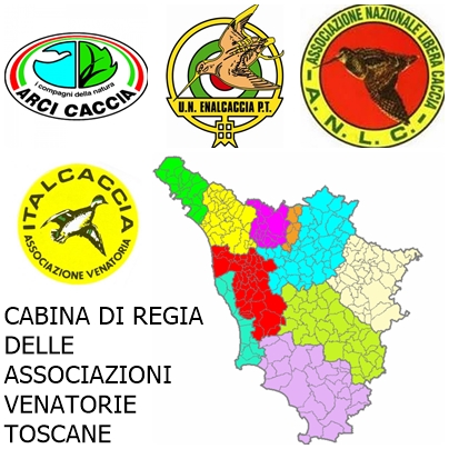 LOGO CABINA DI REGIA TOSCANA