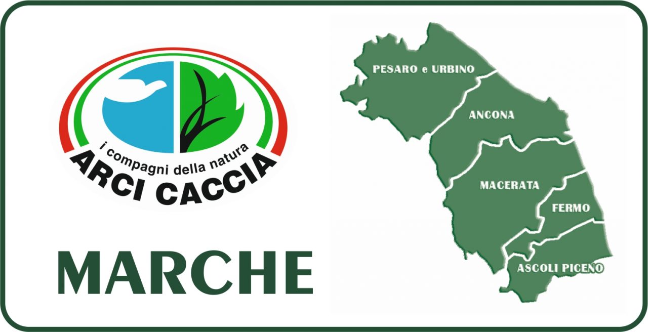 MARCHE