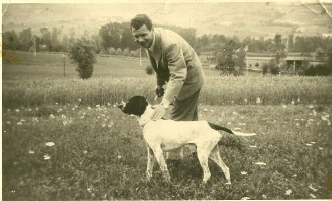 Steffenino 1