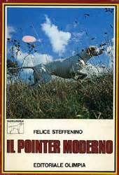 Steffenino 2