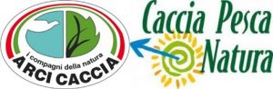arcicaccia-longarone-300x98.jpg