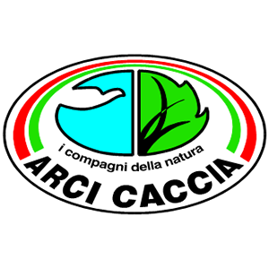 arcicaccia logo