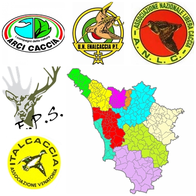 cabina di regia toscana logo