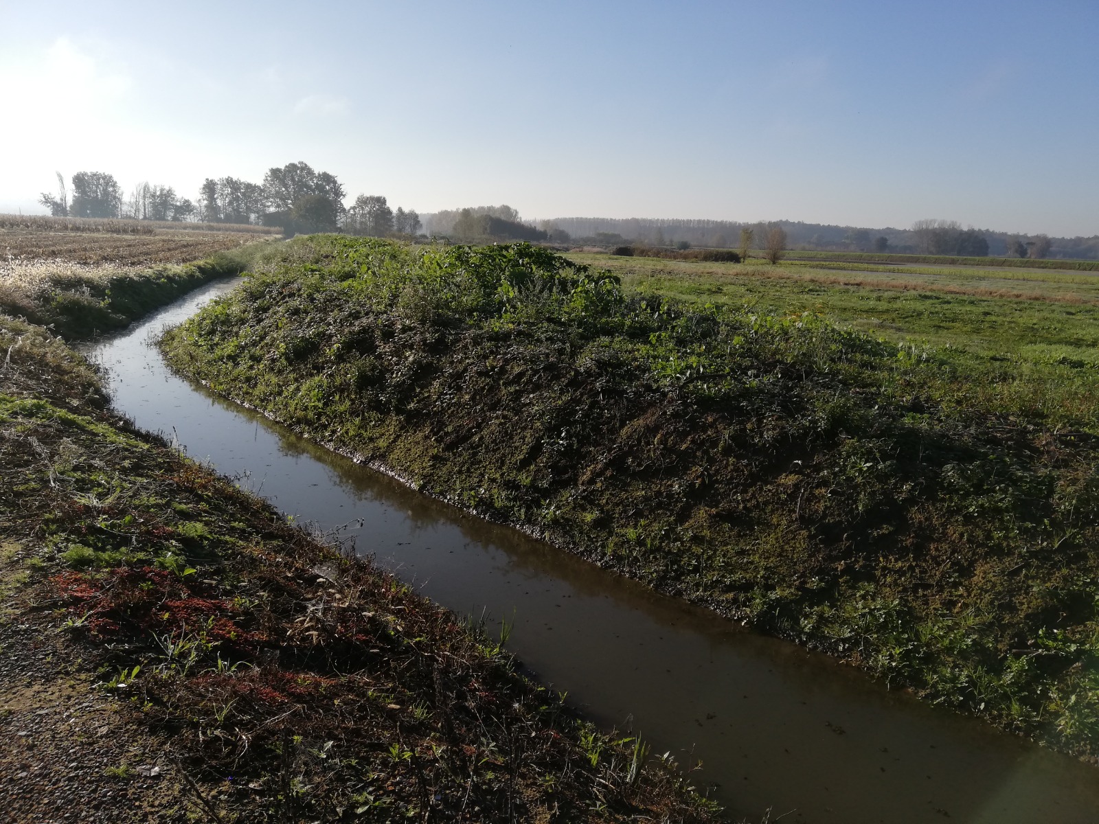 canale