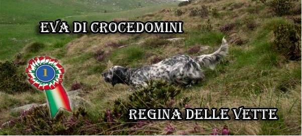 eva crocedomini