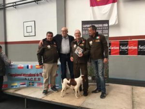cieb spagna 2