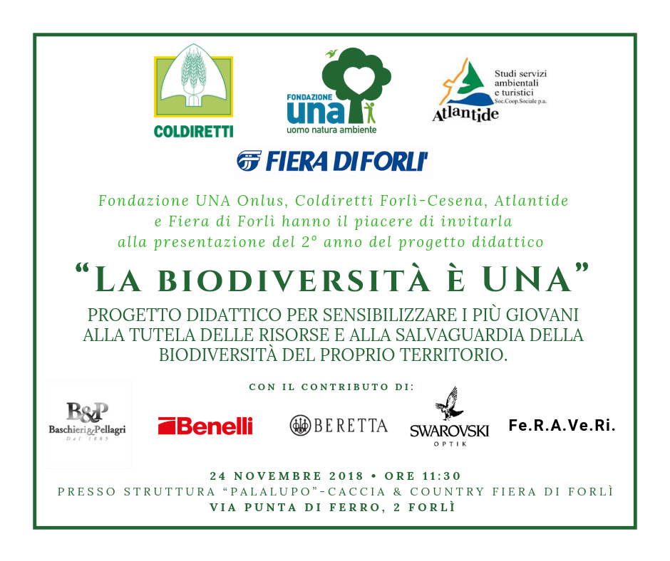 invito evento fiera di Forlì