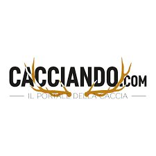 logo cacciando