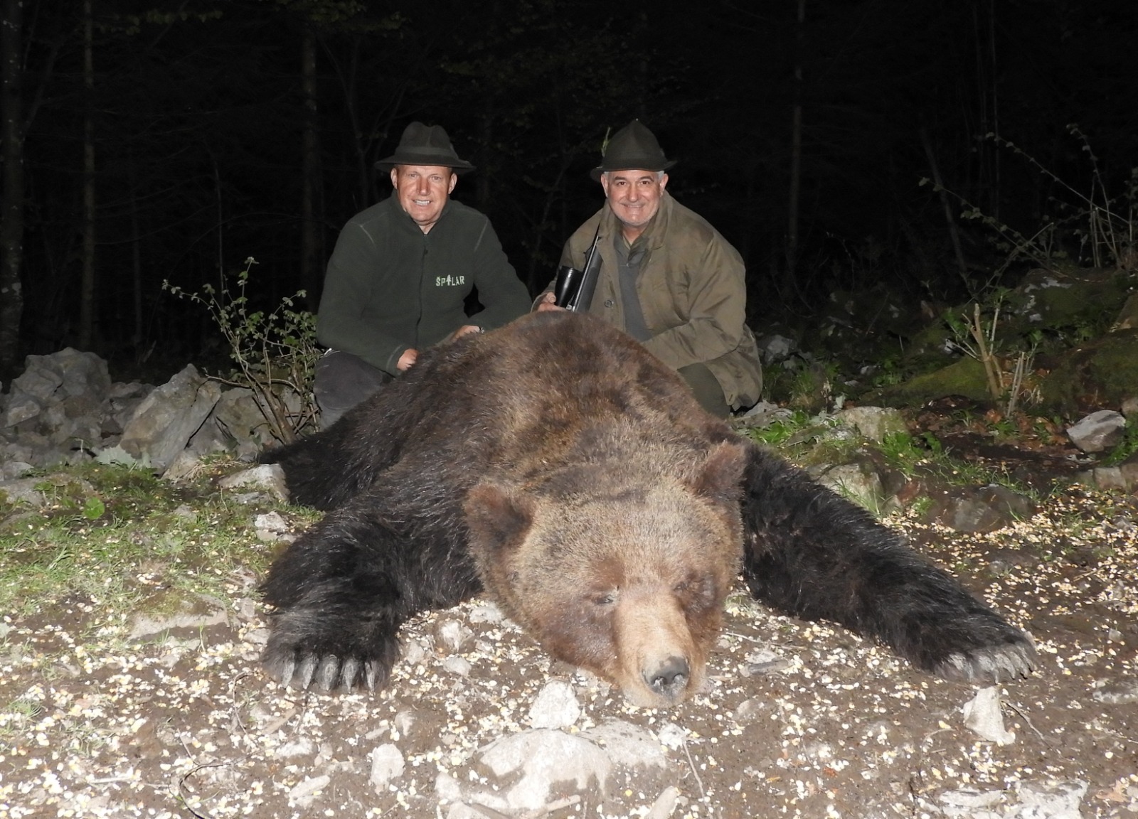 orso