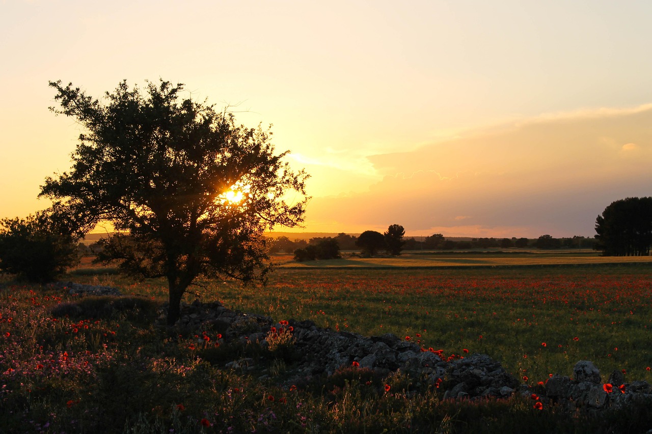 puglia murgia