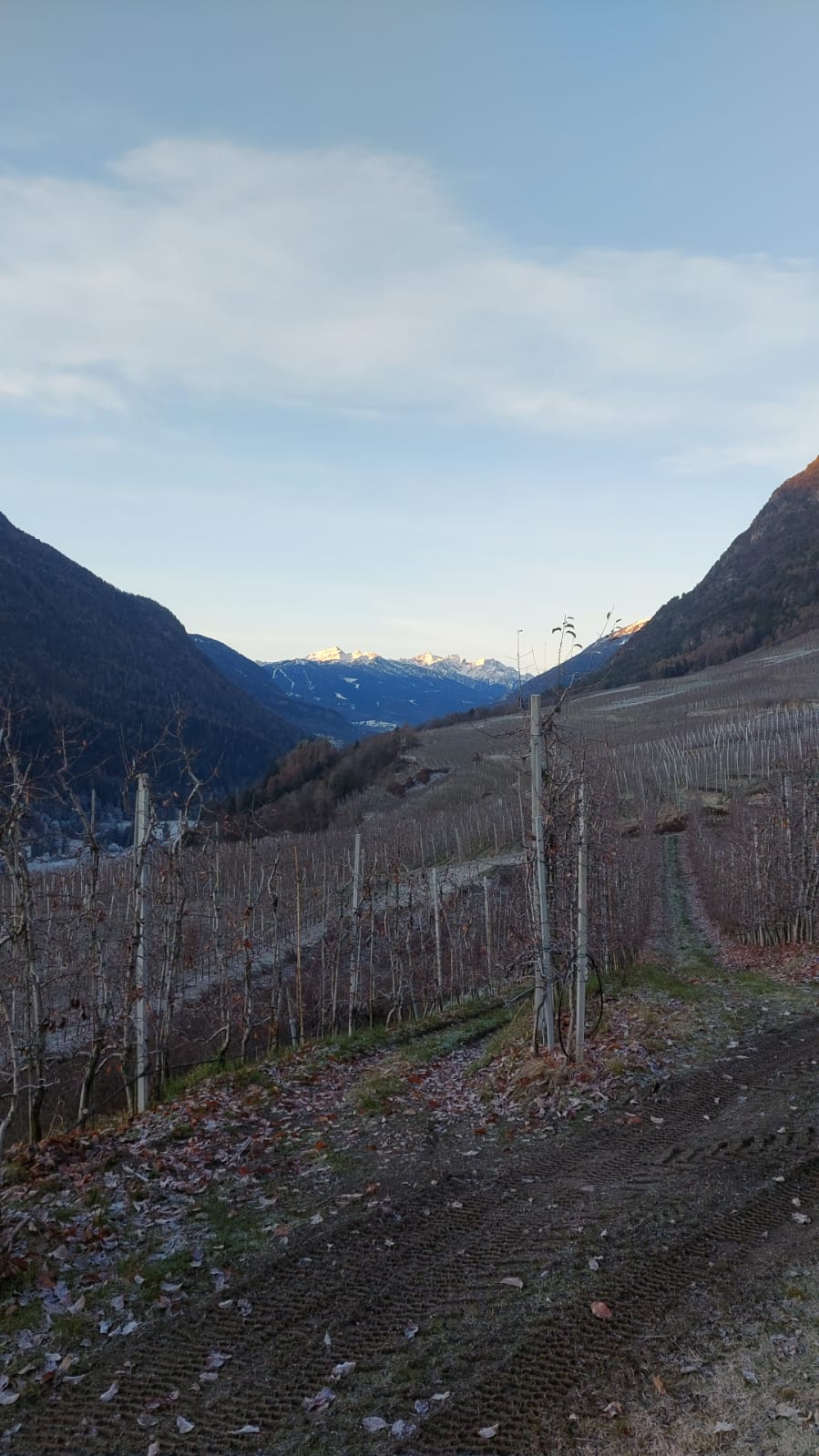 val di non