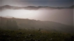 Terra di mezzo