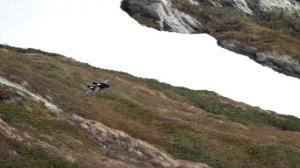 Volo sincronizzato 1