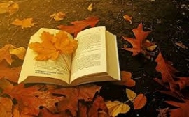 Poesie