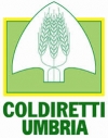 UMBRIA, L'ALLARME COLDIRETTI: ASSEDIATI DA CINGHIALI E LUPI