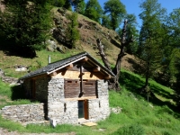 Le selve castanili
