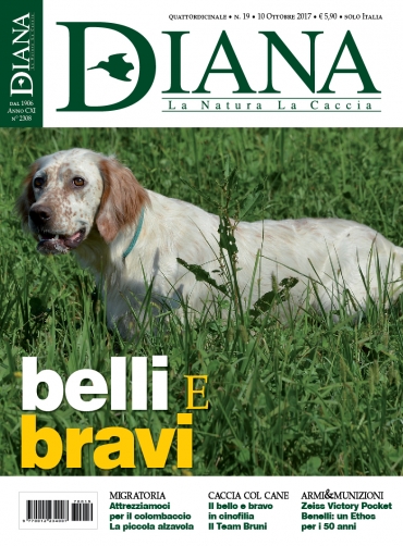 In Edicola Diana 19-2017