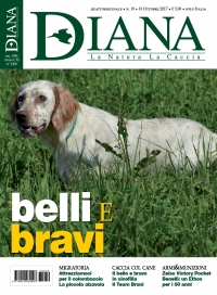 In Edicola Diana 19-2017