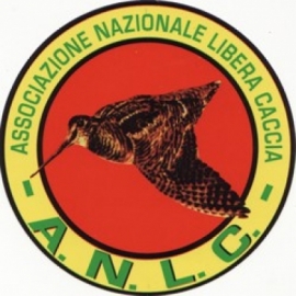 ANLC scrive a Salvini