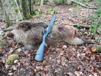 LA NUOVA CARABINA BENELLI ARGO E COMPACT BLACK &ldquo;LA PROVA SUL CAMPO&rdquo; II parte