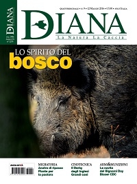 Sognando Bartali... tra fughe e padelle!