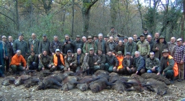 CACCIA CINGHIALE IN BATTUTA NELLA PRESTIGIOSA AZIENDA FAUNISTICA VENATORIA &ldquo;I MONTI DI CASTRO&rdquo;