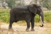 Tanzania: condannato a 12 "Il Diavolo"