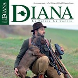In Edicola Diana 7-18