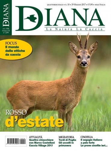In Edicola Diana 10 -2017