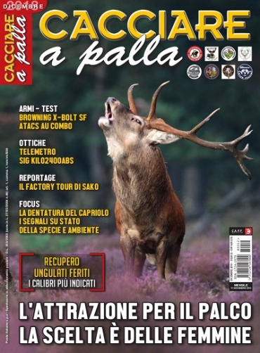 CACCIARE A PALLA Dicembre 2018