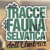 Regione e ATC Perugia 2 portano gli studenti: "Sulle tracce della fauna selvatica dell'Umbria"