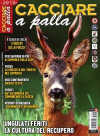 CACCIARE A PALLA  luglio 2018