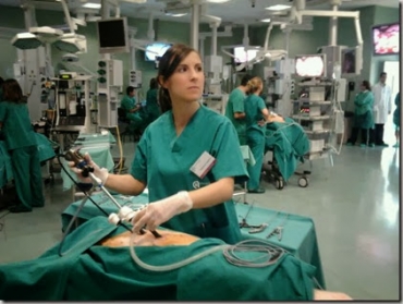 Torsione dello stomaco: la gastropessi preventiva