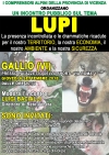 Veneto: Gioved&igrave; a Gallio (VI) si parler&agrave; del problema lupo