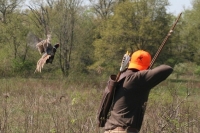 Il Longbow e i suoi perchè