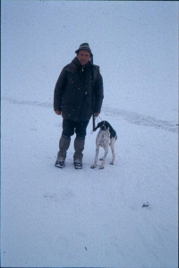 Il Cane da Montagna visto da... Marcello Villa