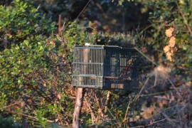 BERGAMO: ANIMALISTI VANDALIZZANO CAPANNI DI CACCIA