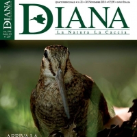 In Edicola Diana 21-2016