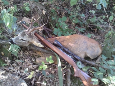 L&#039;arma ideale per il capriolo