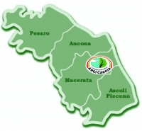 ARCI CACCIA MARCHE CHIEDE LE DIMISSIONI ALL&rsquo;ASSESSORE PIERONI