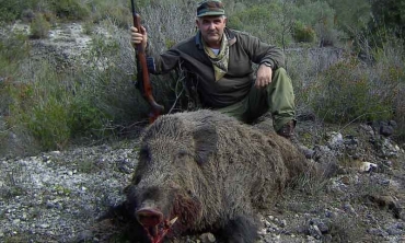 Botta e risposta: carabina per il cinghiale