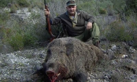 Botta e risposta: carabina per il cinghiale