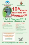 Il 10 - 11 Giugno a Poggibonsi la 10&deg; Edizione della Festa Nazionale del Colombaccio