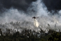Toscana: stop alla caccia nella zona dell'incendio del Monte Serra